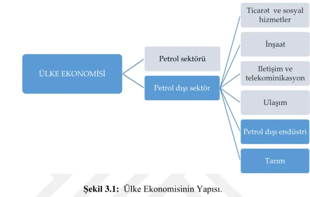 Şekil 3.1:  Ülke Ekonomisinin Yapısı. 