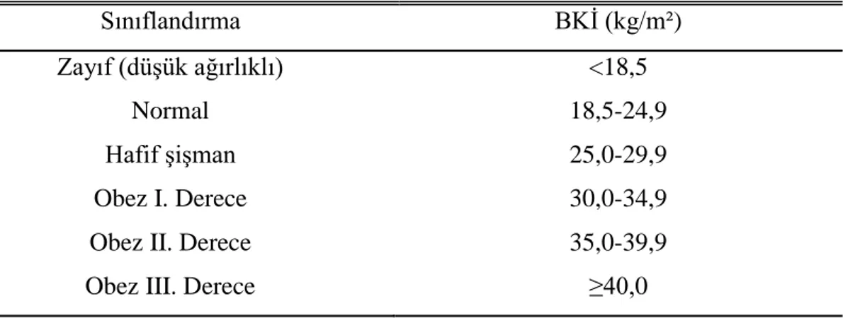 Çizelge 2.1: DSÖ Obezite Sınıflandırması 