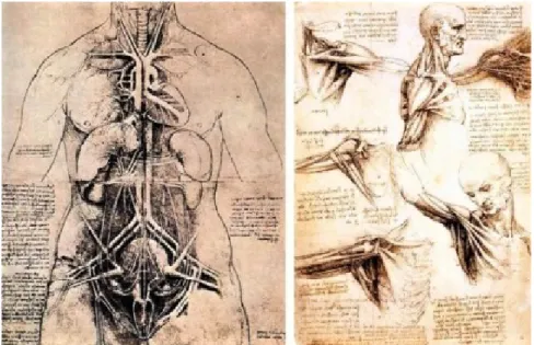 Şekil 2.23: Leonardo da Vinci’nin insan anatomisini ele alan illüstrasyon  çalışmalarından bir örnek