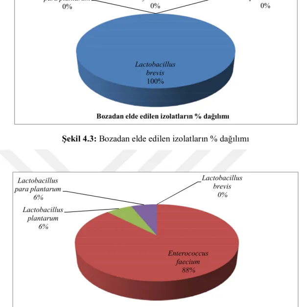 Şekil 4.4: Peynirden elde edilen izolatların % dağılımı 