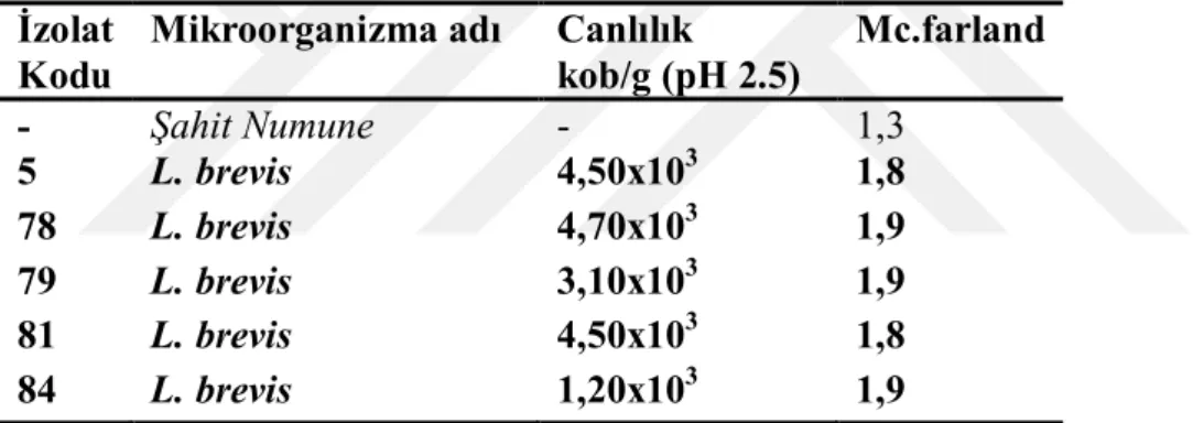 Çizelge 4.2: Bozadan izole edilmiş izolatların asit tolerans ( pH 2,5 MRS Broth ) 72  saat sonrası canlılık değerleri 