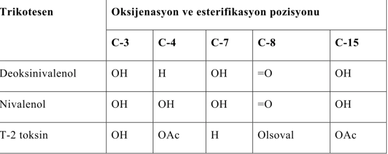Şekil 2.4: Trikotesen  Kaynak: Desjardins, 2006 