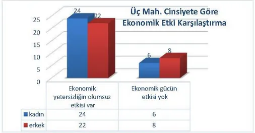 ġekil 11.11: Ekonomik gücün sanat ve kültüre etkisi, cinsiyete göre dağılım 