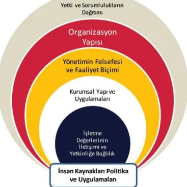 Şekil 3: Kontrol Grupları 