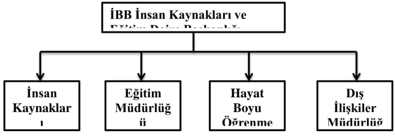 Şekil 4.1: İBB insan Kaynakları Müdürlüğü Organizasyon Şeması 