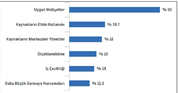Şekil 2.5: Bulut Bilişimin Sağladığı Avantajlar 