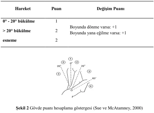 ġekil 2 Gövde puanı hesaplama göstergesi (Sue ve McAtamney, 2000) 
