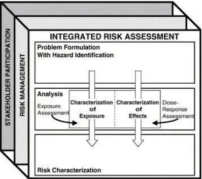 Fig. 3. A framework for the integrated assessment of human health and ecological risks (WHO 2001) 