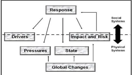 Fig. 5. DPSIR framework (ISO 2007) 