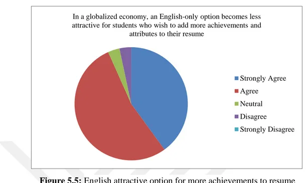 Figure 5.5: English attractive option for more achievements to resume 