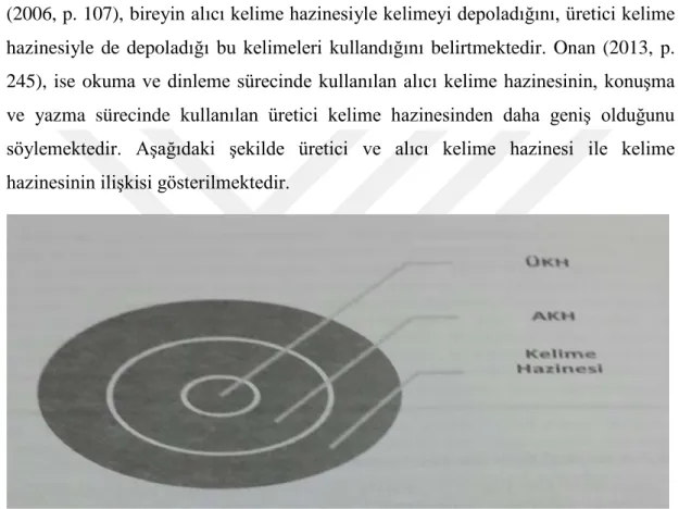 Şekil 1.1 : Kelime Hazinesi ile Üretici- Alıcı Kelime Hazinesi İlişkisi  Kaynak: Onan (2013, p