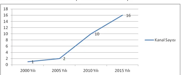 Grafik 1.2:  Ülkemizdeki Tematik Çocuk Kanallarının Artışı 