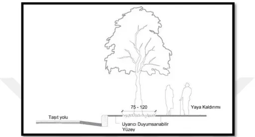 ġekil 3.6: Ağaç ve donatıların etrafındaki yükseltilmiş platformlar (ÖİB, 2010)    Yaya kaldırımındaki bitki kasası, ağaççık gibi bir tasarım elemanının  bitiminden 