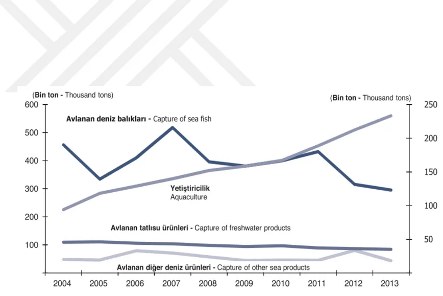 Şekil 2.3: 2004-2013 dönemi su ürünleri üretimi (TÜİK, 2014) 