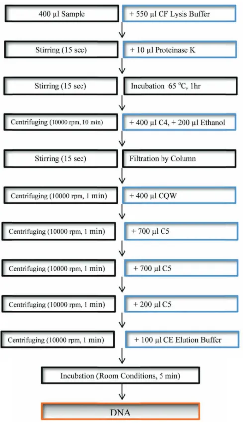 Fig 1. DNA isolation procedure Şekil 1. DNA izolasyonu prosedürü