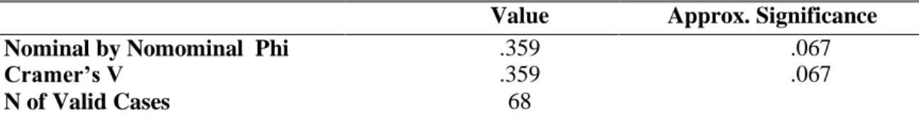 Table 4.17: Cramer’s V for social services provided according to gender 
