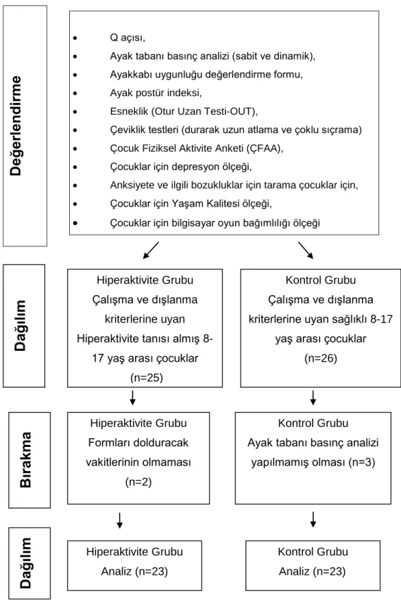 Şekil 3.1: Klinik çalışma diyagramı (devamı) Değerlendirme• Q açısı,  