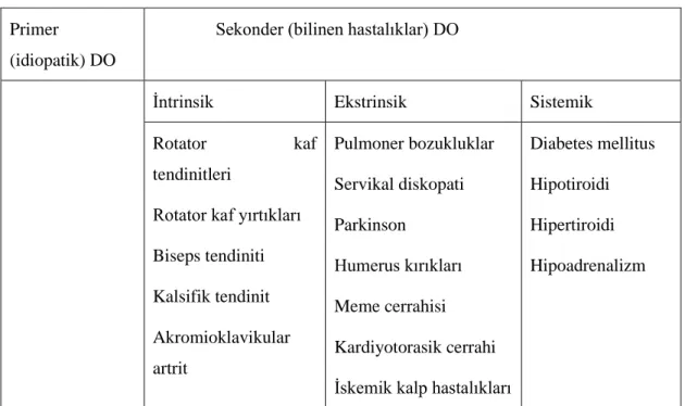 Şekil 9. Donuk omuz gelişimi için olası yollar  
