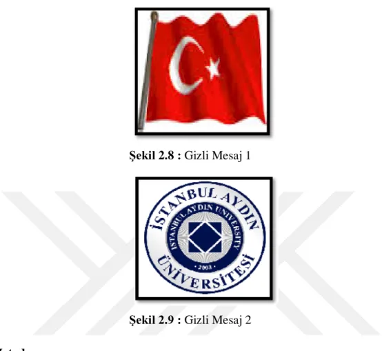 Şekil 2.8 : Gizli Mesaj 1 