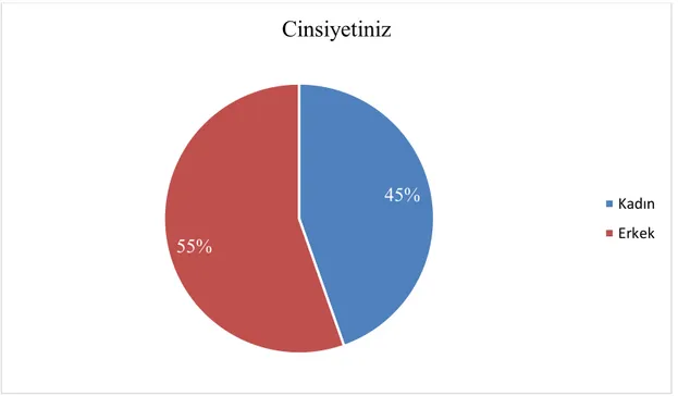 Şekil 5.2: Katılımcıların Cinsiyete Göre Dağılımı 