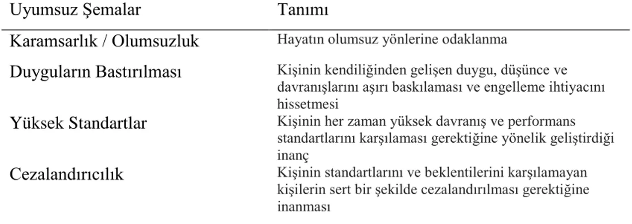 Çizelge 2.6:  Yüksek Standartlar ve Bastırılmışlık  Alanı Uyumsuz Şema  Tanımları 