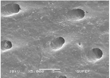 Figure 3. Whiteness Super endo Group