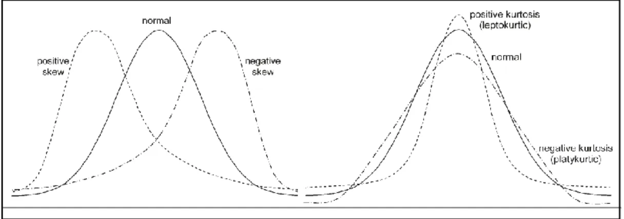 Figure 4.5: Skew &amp; Kurtosis data distribution 