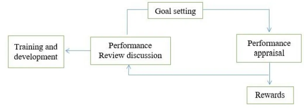 Figure 2.2: Performance Appraisal Programs   Source: (Stone, 2005:304) 