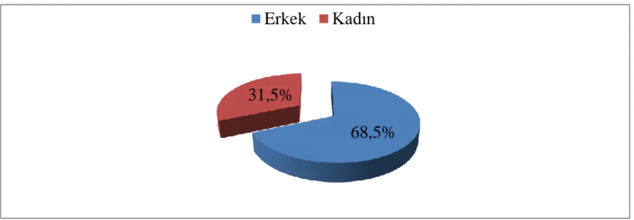 Şekil 5.1 : Eğitim Kurumu Yöneticilerinin Cinsiyet Grafiği 