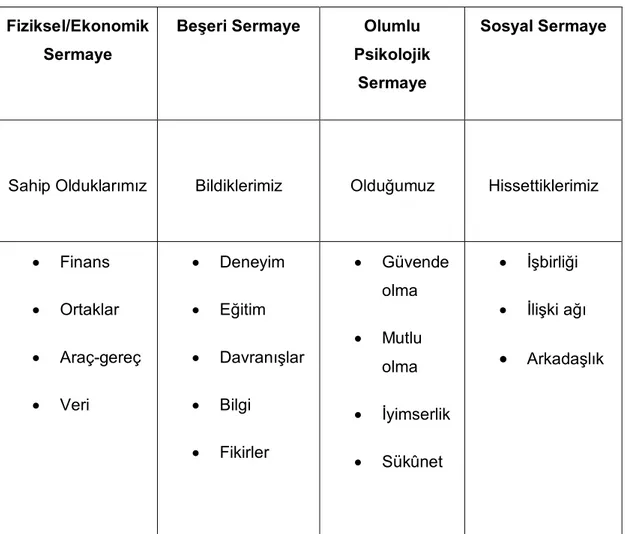 Çizelge 2.1. Eğitim Kurumlarının Sermaye Şeması Fiziksel/Ekonomik 