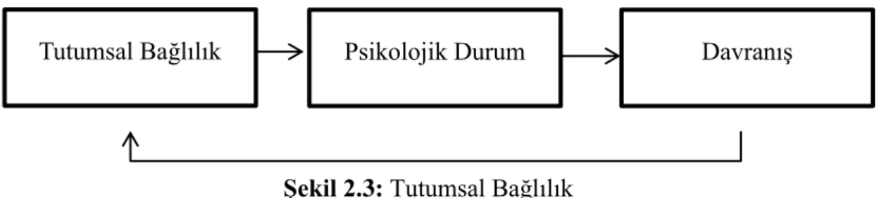 Şekil 2.3: Tutumsal Bağlılık 