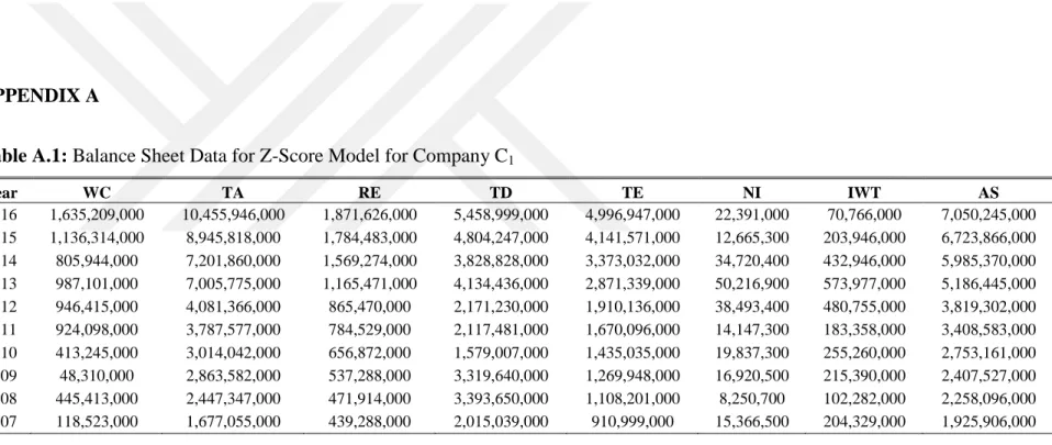 Table A.1: Balance Sheet Data for Z-Score Model for Company C 1