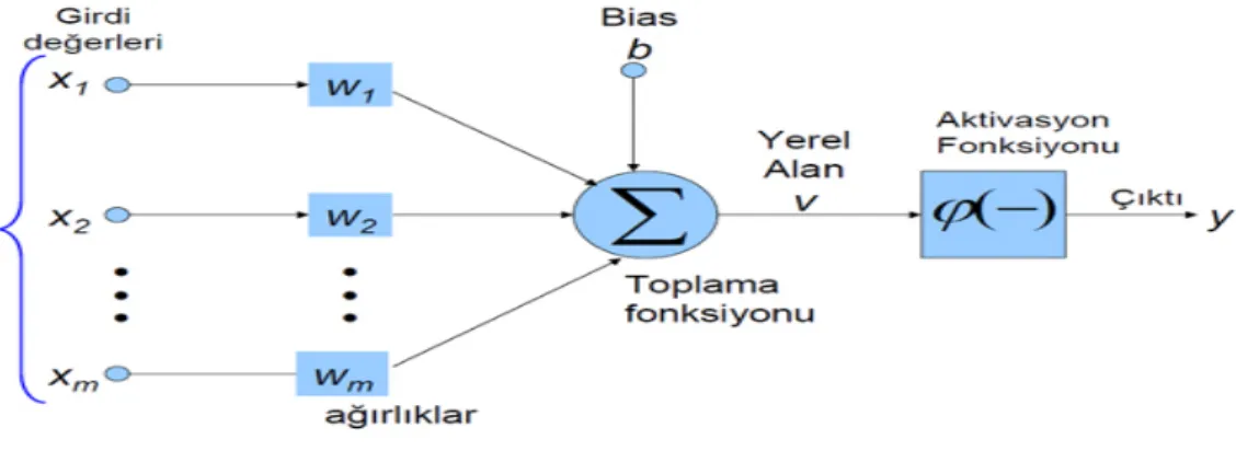 Şekil 4.4: YSA Hücresi  Bias değeri bir sabit olup, b ile ifade edilir. 