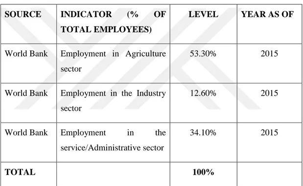 Table 2.2: Level of Cameroonians employed in various sectors. 