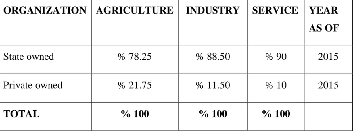 Table 2.3: Level of Employees in both state and private owned organizations.  ORGANIZATION  AGRICULTURE  INDUSTRY  SERVICE  YEAR 
