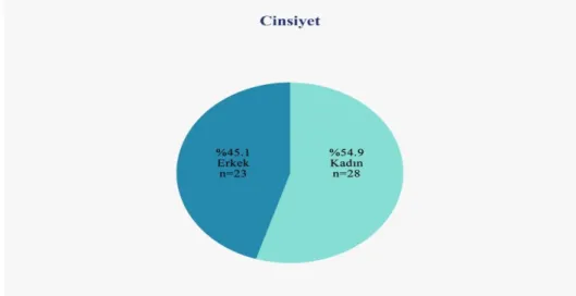 ġekil 5.2: Grup 2 Cinsiyet Dağılım Grafiği 