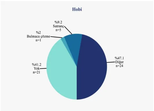 ġekil 5.4: Grup 2 Hobi Dağılımı 