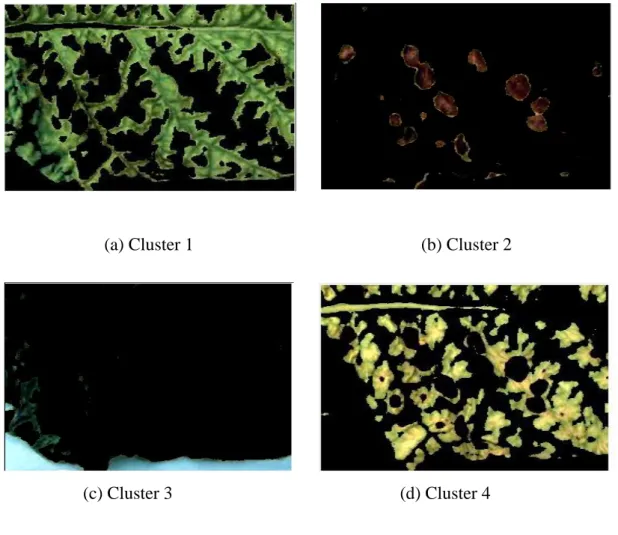Figure 2.5: Segmented image in color.