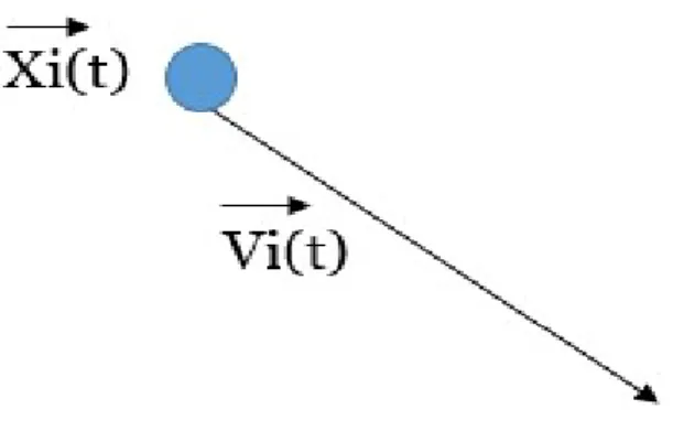 Figure 3.7: Simple Model of Moving Particle Some considerations are necessary to  complete the standards of PSO:  
