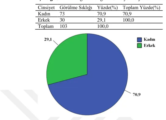 Çizelge 3.2: Demografik bilgiler-Cinsiyet ve yüzdeleri. 