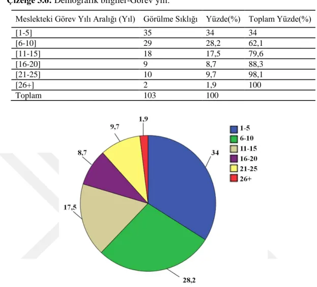 Çizelge 3.6: Demografik bilgiler-Görev yılı. 