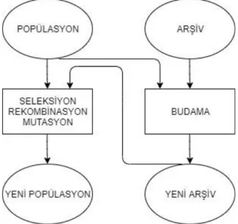 Şekil 1.5 : SPEA2’nin Temel Yapısı  Algoritma 2:  Procedure SPEA2  Input: Y;  Initialize Z0;  Set W0=Ø,T= Ø, u=0, nds=0;  While u<Y 