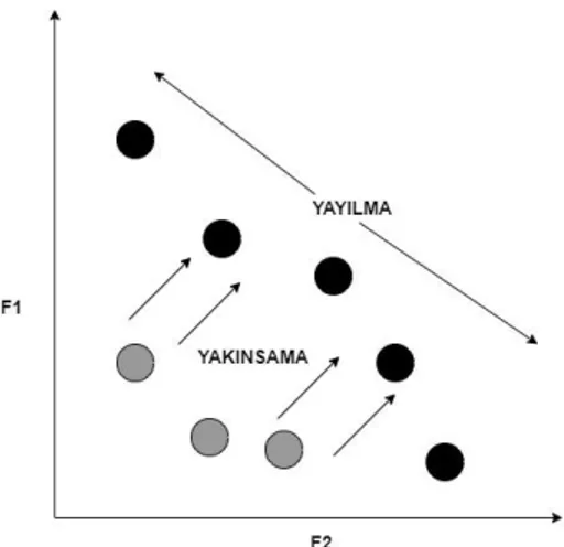 Şekil 1.7 : Yayılma ve Yakınsama 