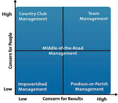 Figure 1. Managerial Grid/Grid solutions 