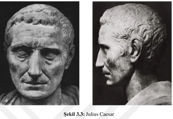 Şekil 3.3: Julius Caesar 