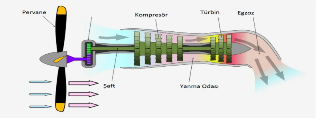 Şekil 2.6: Turboprop motorda temel üniteler [31] 