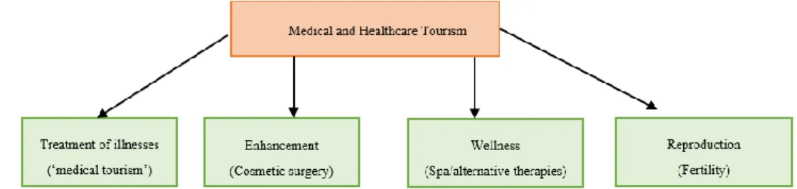 Figure 2.1: Major medical and healthcare types of services  Source: Lee &amp; Spisto, 2007 
