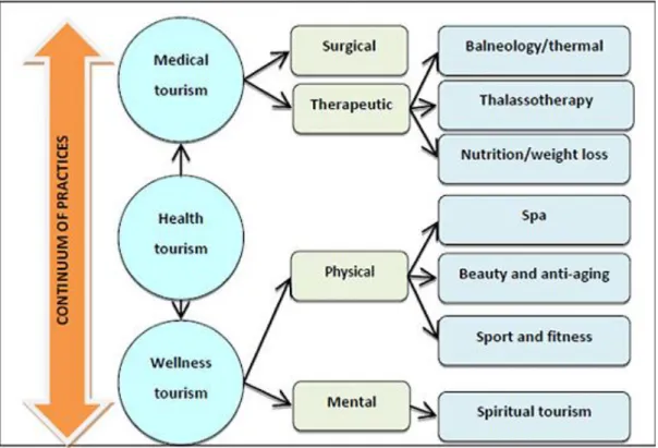 Figure 2.3: Framework of the medical tourism 