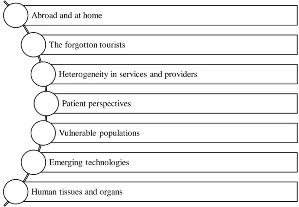Figure 2.8: Seven issues of the medical tourism  Source: Behrmann, &amp; Smith, 2010 