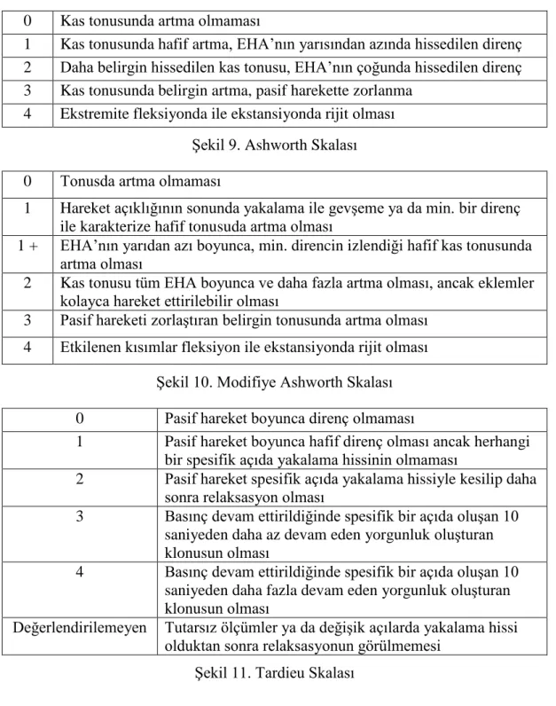 Şekil 11. Tardieu Skalası 